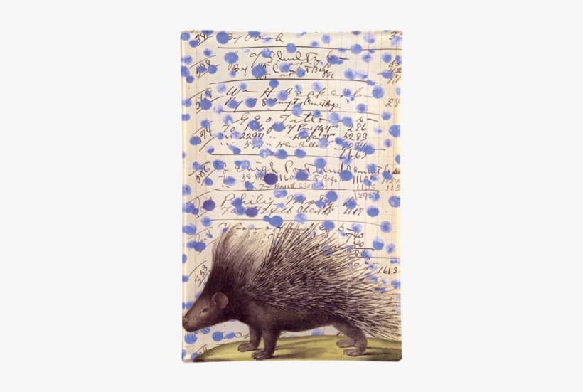 Collection Name - John Derian, transparent png #1818262