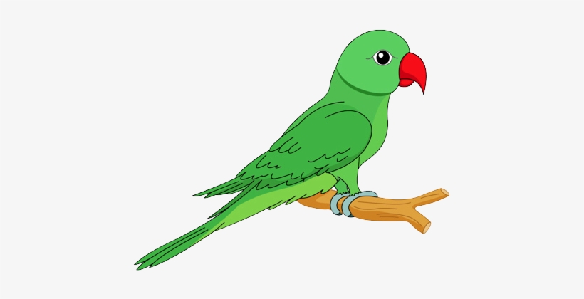 Hd Quality Flying Parrot Clipart Png Images Free - Clipart Image Of Parrot, transparent png #1818267