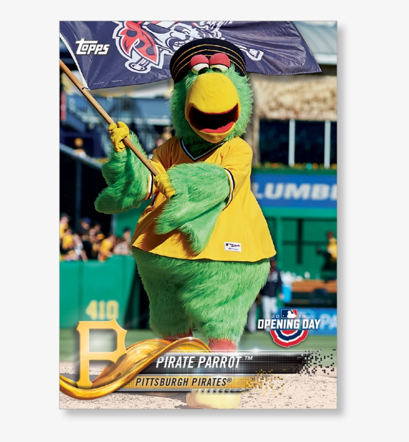 Pirate Parrot, transparent png #1818465