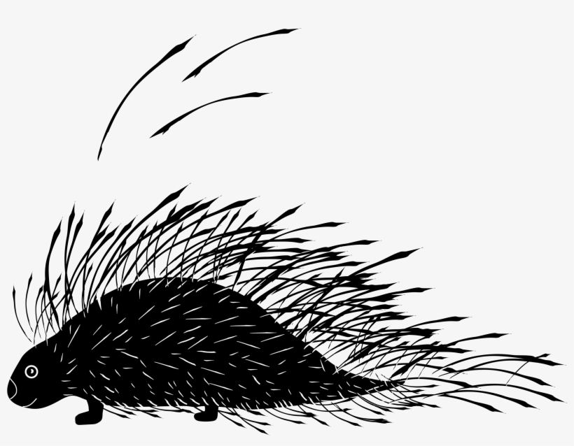 Porcupine - Pest, transparent png #1818809