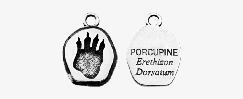 Porcupine, transparent png #1818868