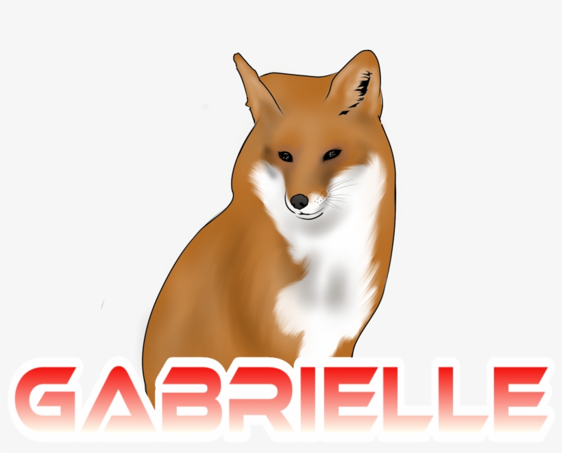She Started These Videos With Me At The Age Of - Red Fox, transparent png #1820314