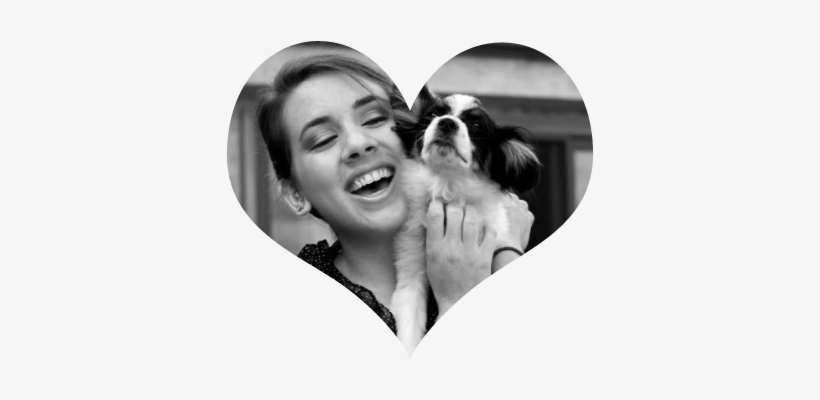 My Name Is Faris Jaclyn I Create Videos About Horse - Blog, transparent png #1820395