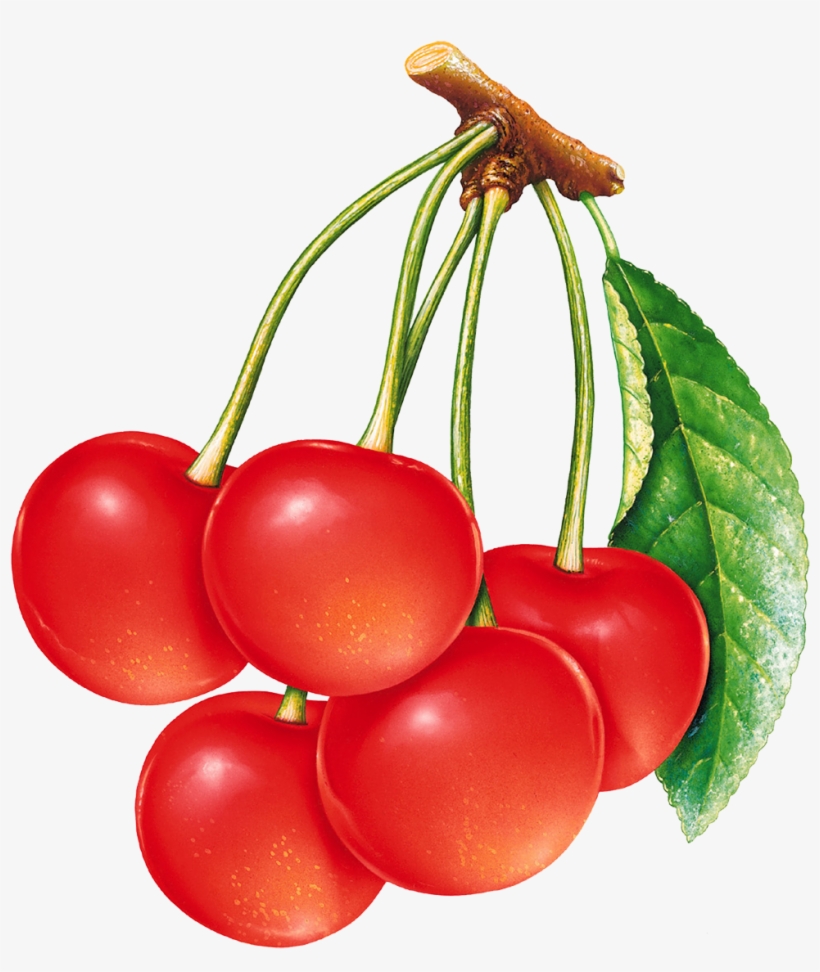 Cherries Png Image - Red Cherry, transparent png #1820710