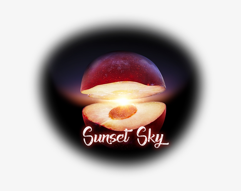 A Pleasure For All The Senses - Edible Mushroom, transparent png #1820736