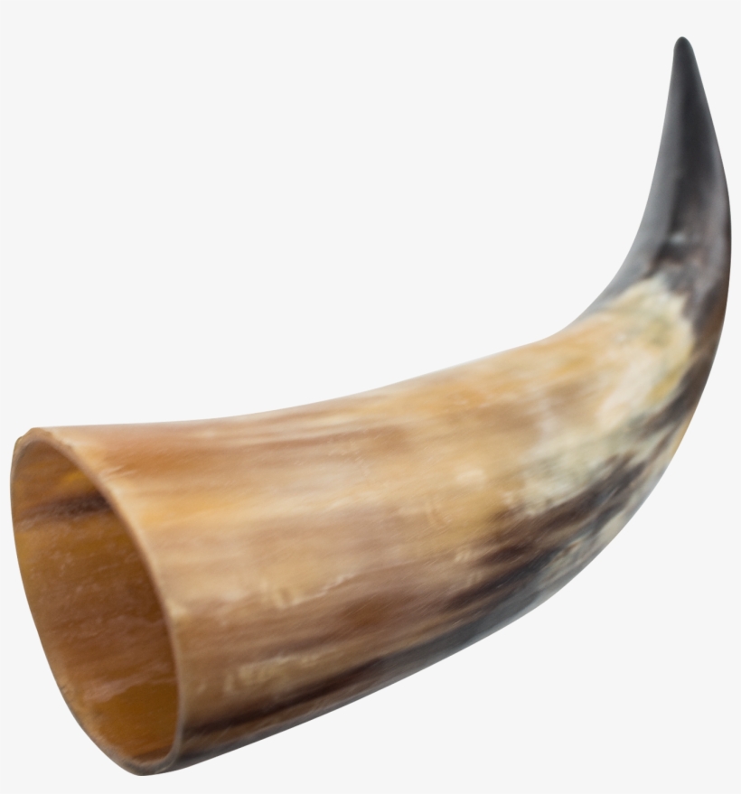 Viking Horn Png - Medieval Horn, transparent png #1820922