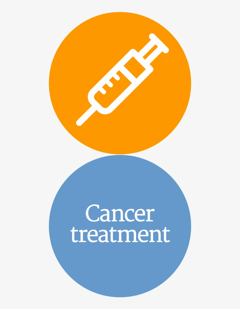 Row 11 A - Rasamny-younis Motor Co., transparent png #1821315