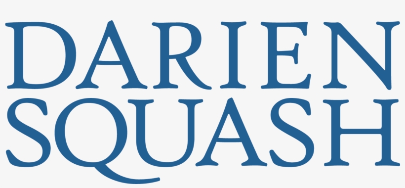 Blue Wave Logo Type Only - Typography, transparent png #1821735