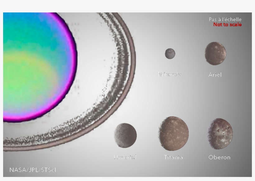 Description Structure Dynamique - Circle, transparent png #1822177
