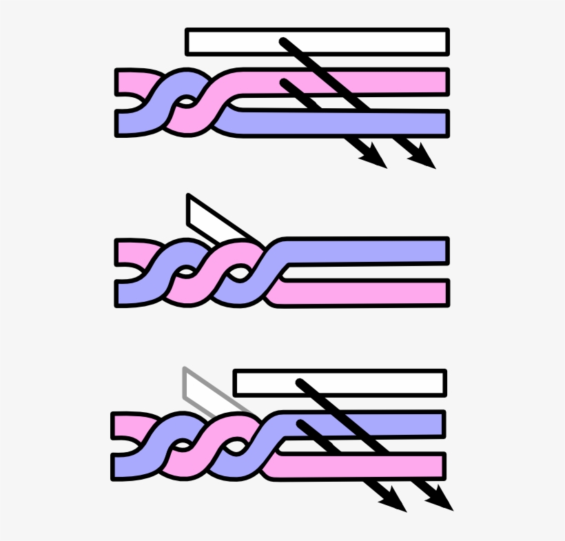 Twist Braid, transparent png #1826014