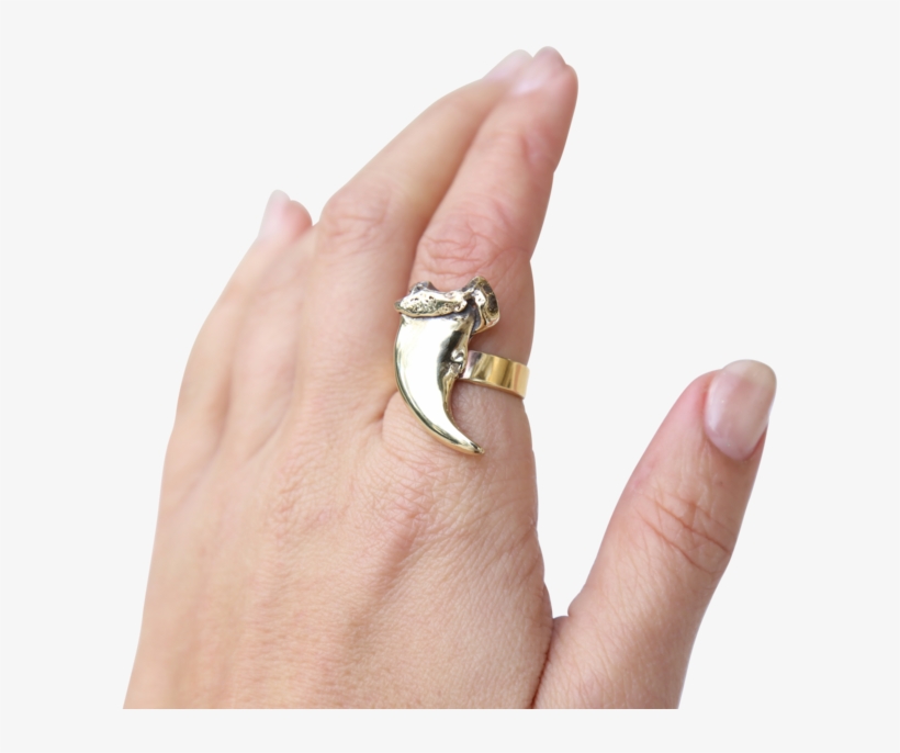 Bear Claw Totem Ring, transparent png #1826614