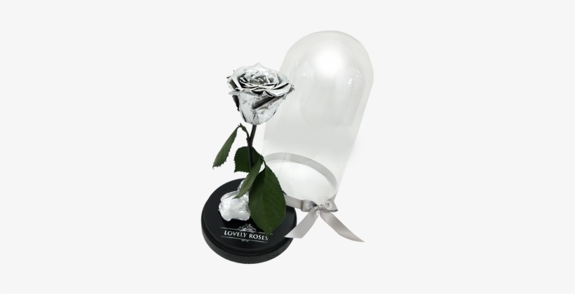 Metallic Silver Beauty & The Beast - Garden Roses, transparent png #1826932