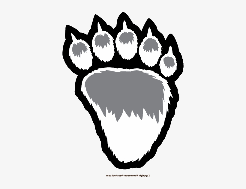 Bear, transparent png #1827282