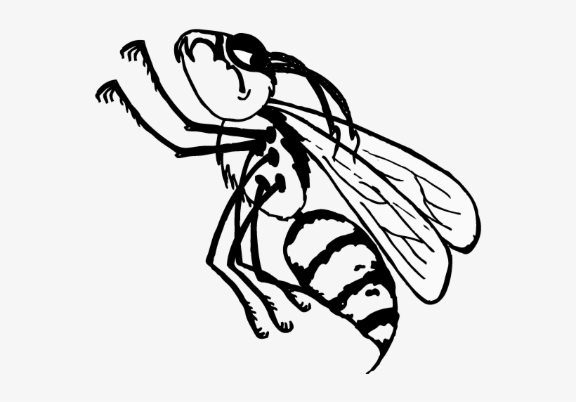 Yellowjacket 20 Jul 2017 - Illustration, transparent png #1827478