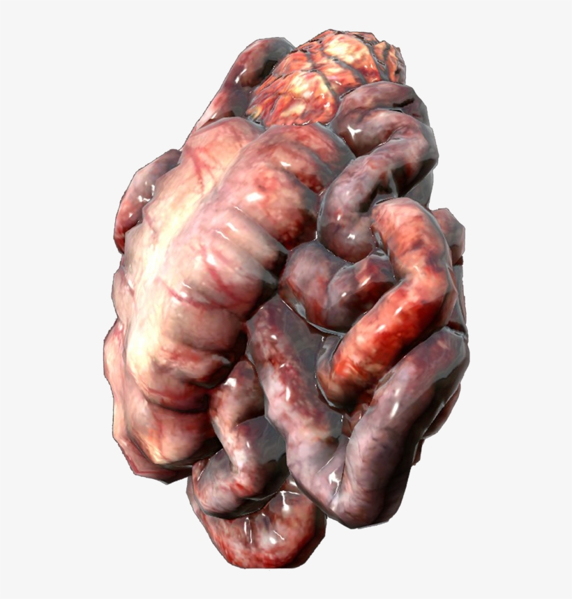 Guts From A Human, transparent png #1827788