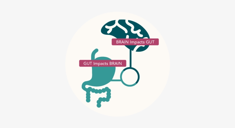 Jay Pasricha, M - Brain Gut Connection, transparent png #1828276