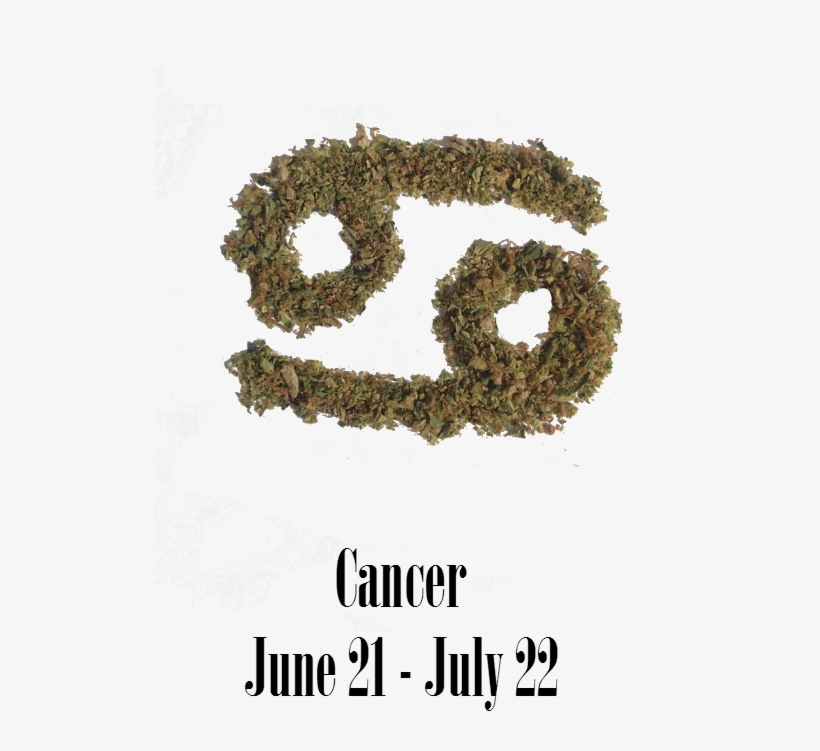 Stoner Cancer Monthly Horoscope - Moss, transparent png #1828572