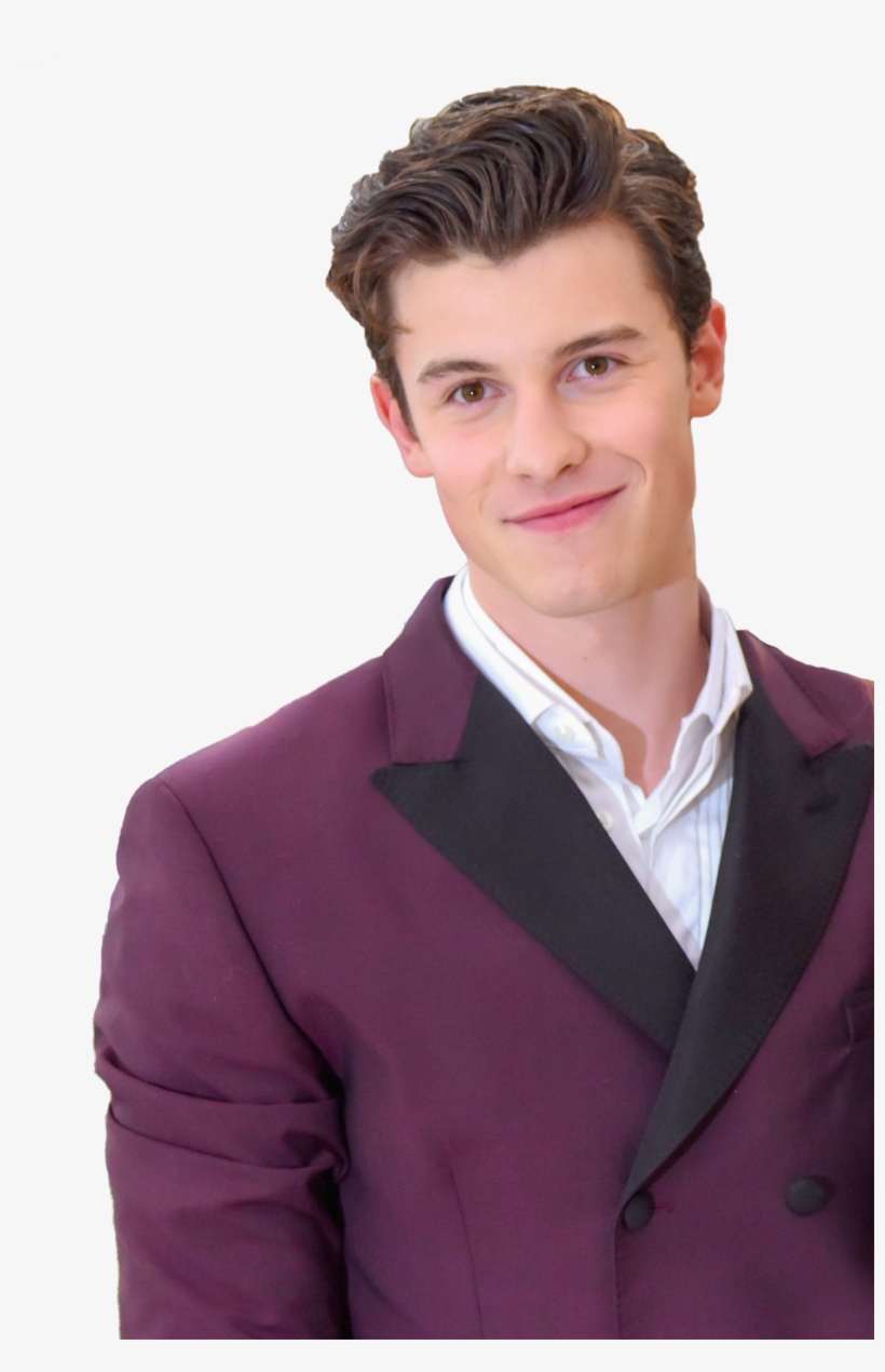 Shawn Mendes Fanblog - Shawn Mendes Met Gala 2018, transparent png #1828908