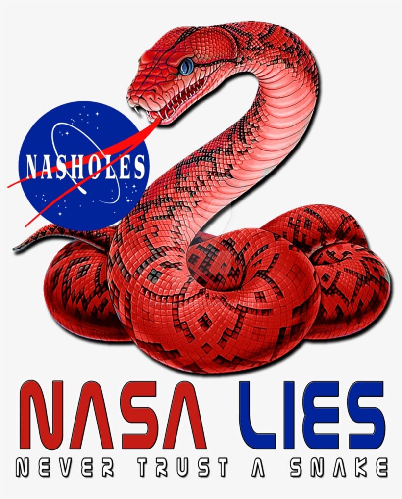 Nasa Snakes By Matthewprocella - Never Trust A Snake Shirt, transparent png #1829990