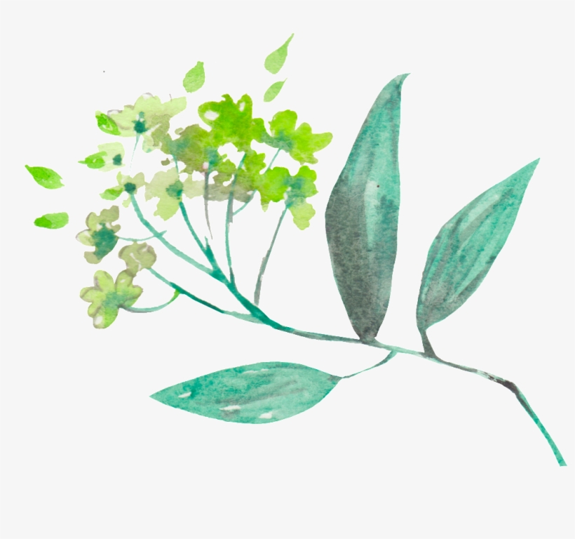 This Backgrounds Is Spring Fresh Plant Transparent - Spring, transparent png #1830477