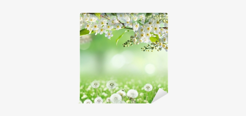 Mural - Spring, transparent png #1830870