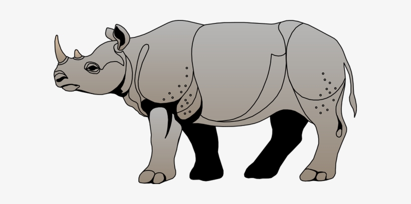 Rhinoceros Free Download - Side View Of A Rhino, transparent png #1830907