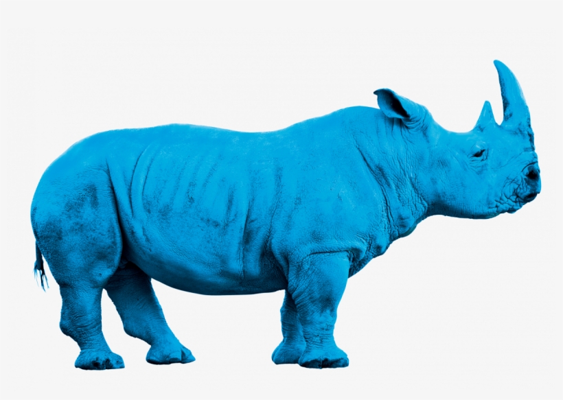 Rhino Bleu Png - Animals With White Background, transparent png #1831160