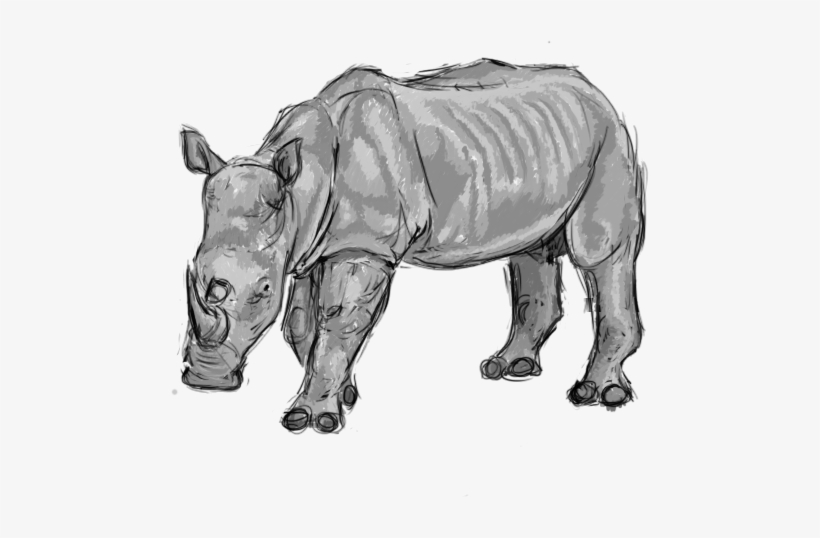Rhino, transparent png #1831163