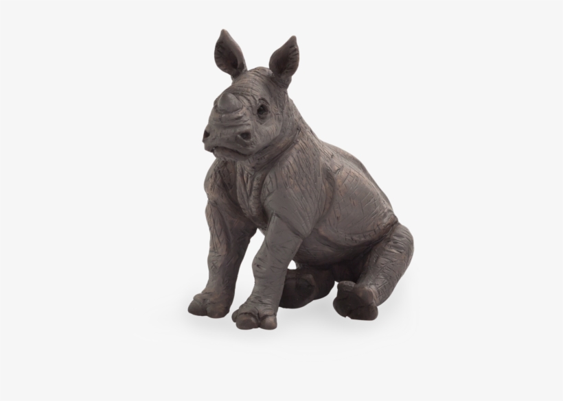 Rhino Baby Sitting - Baby Rhino Sitting, transparent png #1831667