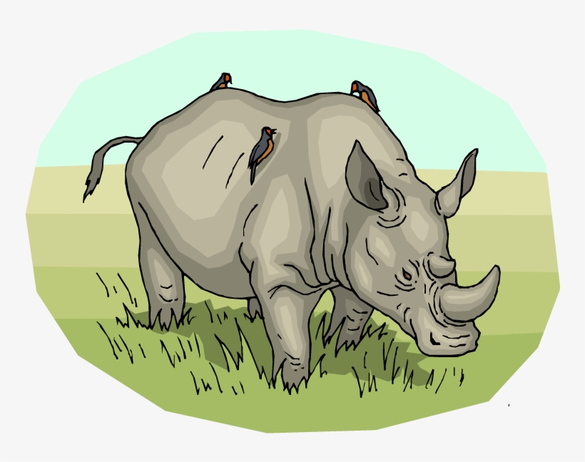 Free - Love Rhinos Throw Blanket, transparent png #1832209