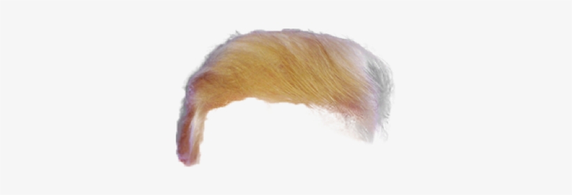 Your Awareness Campaign Isupportcause - Trump Hair Overlay, transparent png #1832543
