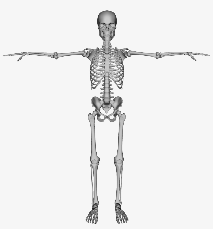 Background Transparentpng Image Information - Man Kankal Photo Png, transparent png #1832592