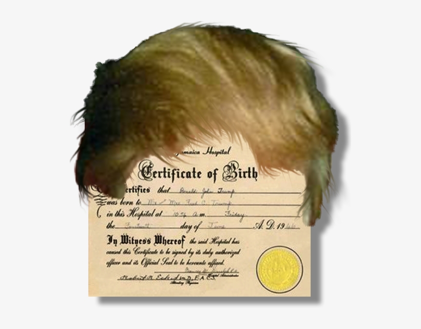 "raising The Bar," No - Donald Trump Birth Certificate, transparent png #1832622