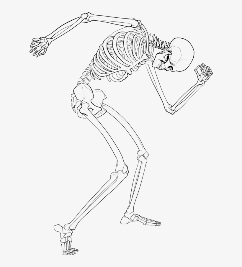 Free Stock Skeleton By Deskleaves On Deviantart Svg - Sketch, transparent png #1832624
