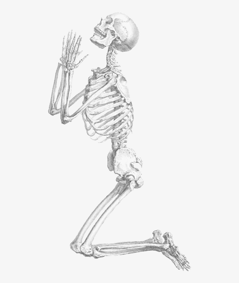 Halloween Skeleton Transparent Background - Praying Skeleton Png, transparent png #1832668