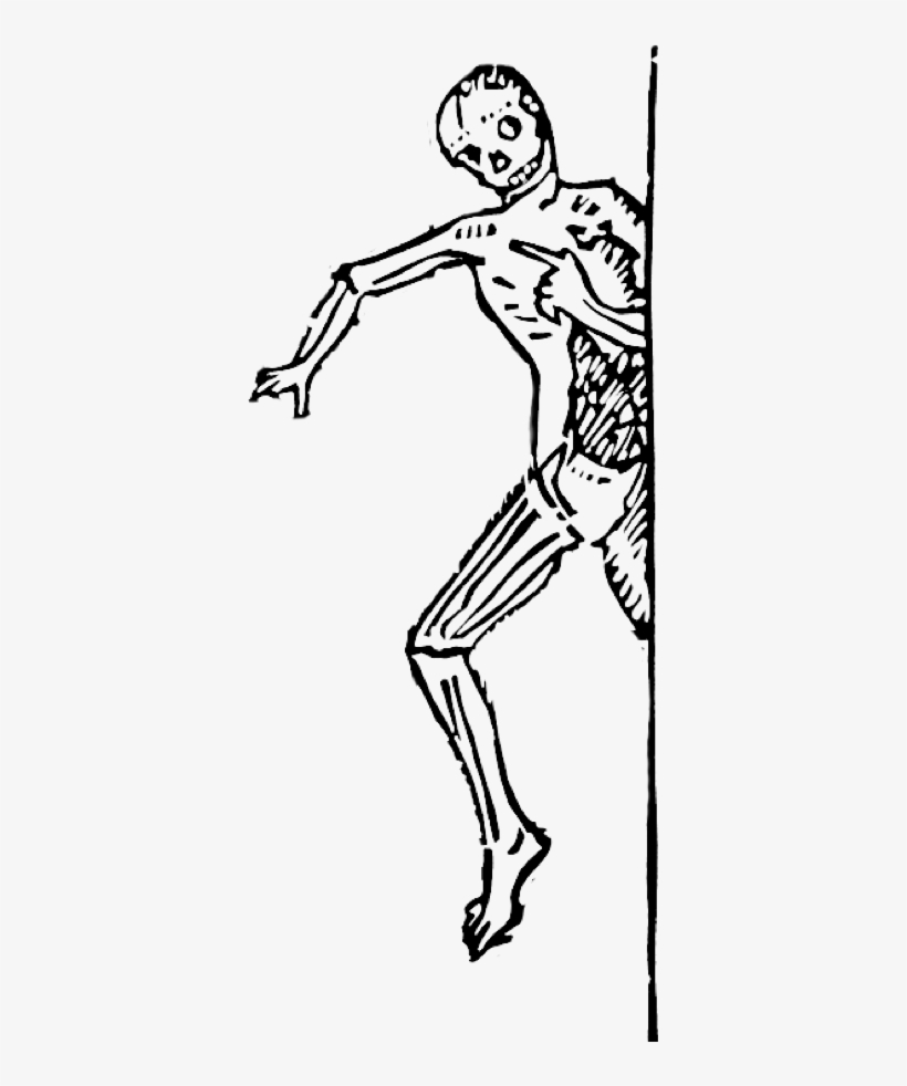 Skeleton Arm Drawing At Getdrawings - Sketch, transparent png #1832800