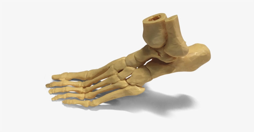 Category - 3d Printing, transparent png #1833025