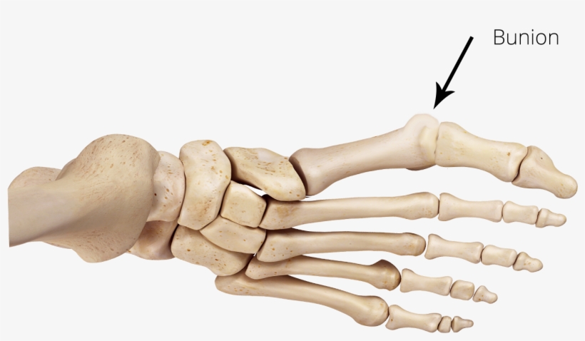 Jason Pringle2017 06 22t21 - Mannequin, transparent png #1833203