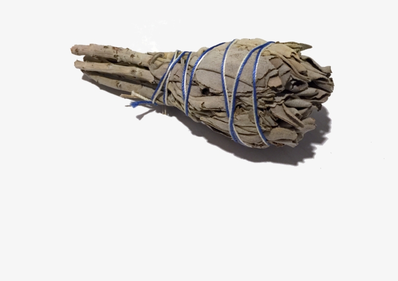 Sage Bundle Drawing Transparent, transparent png #1833447