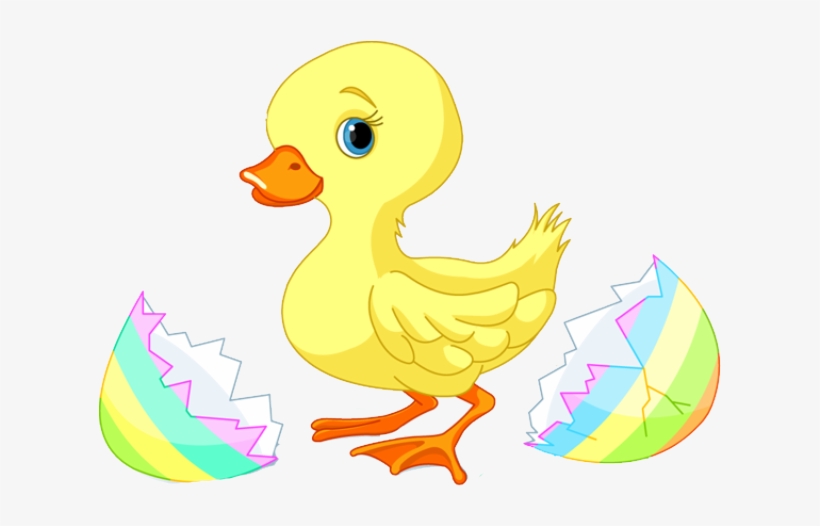 Clip Arts Related To - Clip Art Baby Duck, transparent png #1835518