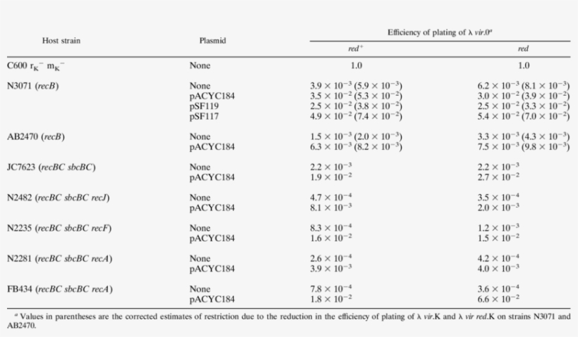 Ra In Recb Bacterial Role Of The - Bacteria, transparent png #1835583