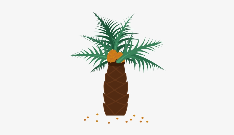 Real Palm Tree Png Which Everyday Products Contain - Palm Oil, transparent png #1836808