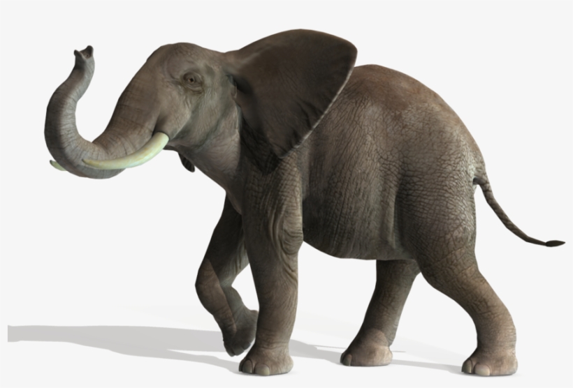 3d Elephant, New Cashadvance6online - Elephant Png File, transparent png #1839028