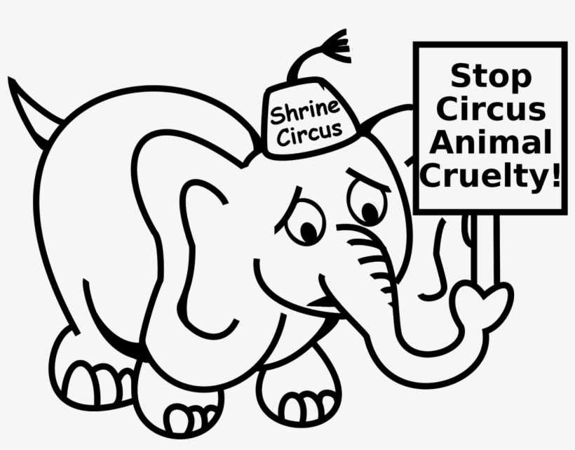 This Doesn't Happen Only With Elephants, But With Tigers, - Poster On Stop Cruelty Towards Animals, transparent png #1839254