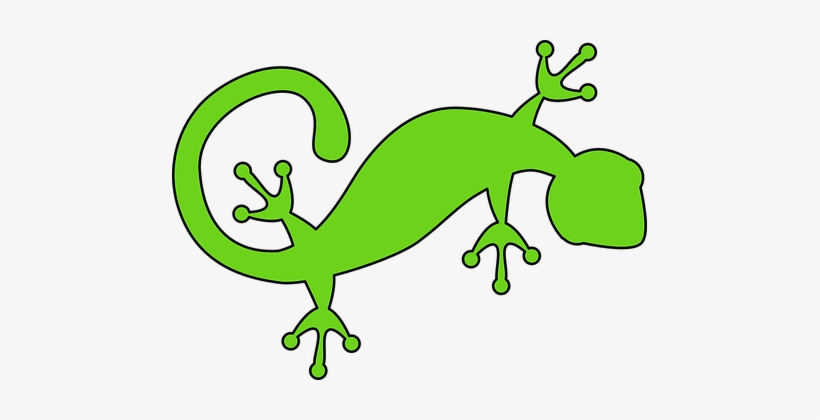 Lizard Gecko Green Animal Nature Reptile W - Lizard Clipart, transparent png #1839464