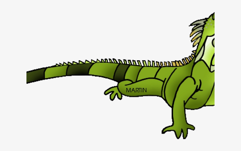 Green Iguana Geico Free On Dumielauxepices Net - Iguana Clipart, transparent png #1839618