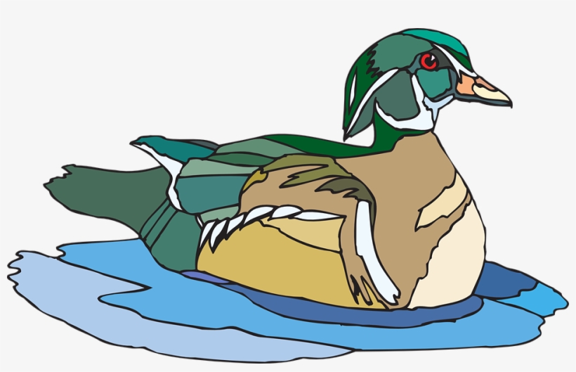 Duck Clipart Duck Beak - Duck Is Swimming Clipart, transparent png #1839991