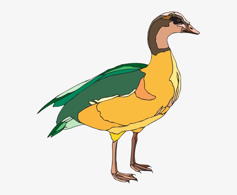 This Free Clipart Png Design Of Yellow And Green Duck, transparent png #1840250