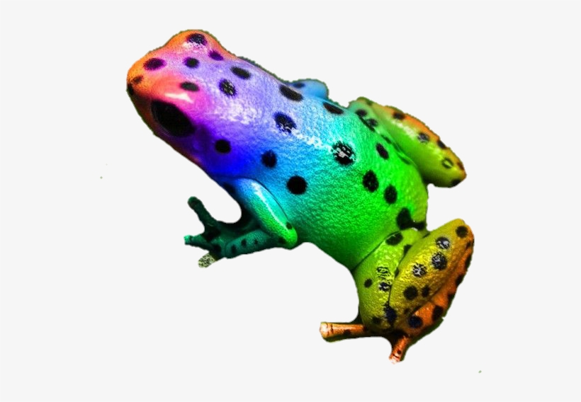 Frog Colorful Rainbow Neon Animal - Colorful Poison Dart Frog, transparent png #1841537