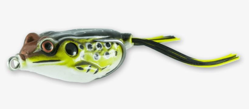 Mud Brown - Green Pufferfish, transparent png #1841564